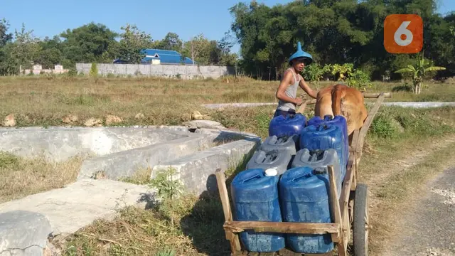 Gerobak Sapi