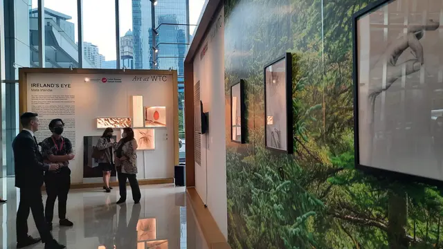 Pameran seni Ireland's Eye atau Mata Irlandia