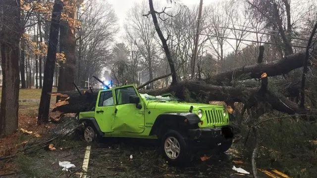 Monster Nor'easter