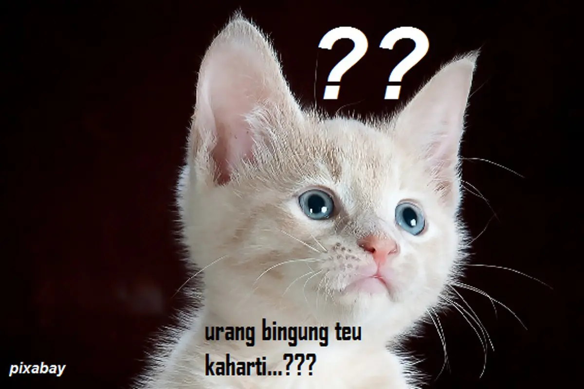 Bukti Tanda Baca Jadi Hilang di Perdebatan Orang Sunda dan Padang