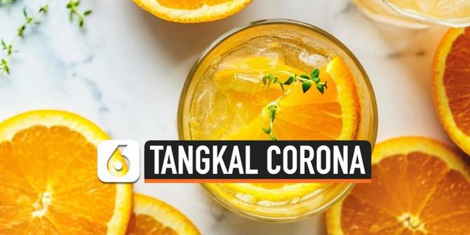 VIDEO: Berpotensi Tangkal Corona, Ini Temuan Periset Indonesia