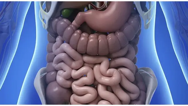 Foto : copyright listverse.com