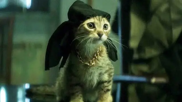 Keanu (2016)