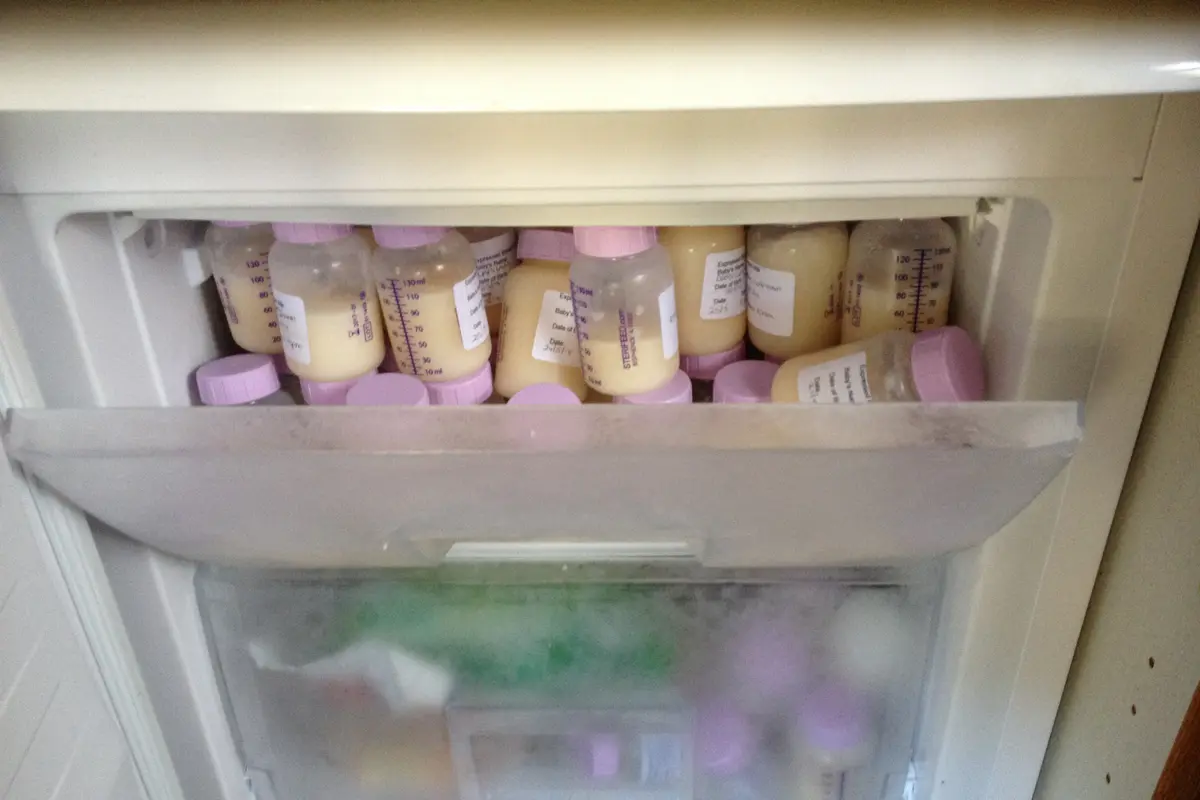 ASI di Freezer