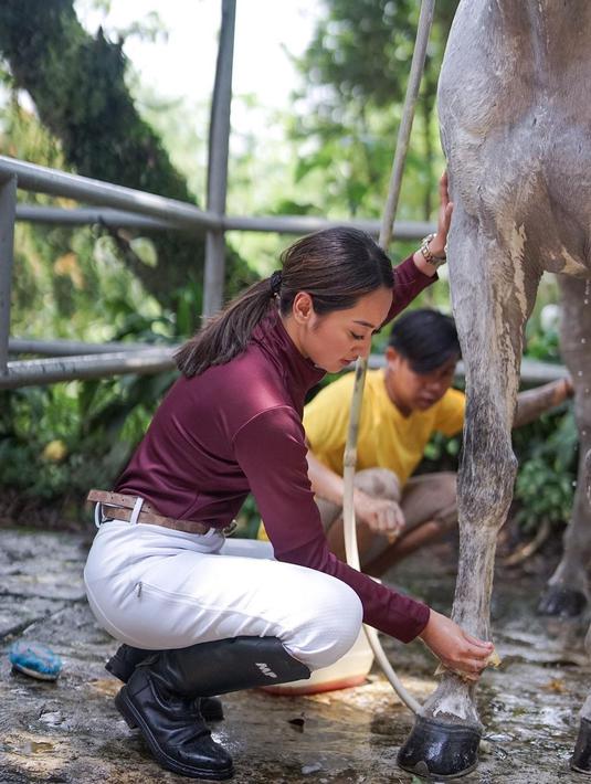 Memes Prameswari, juga terjun langsung memandikan binatang kesayangannya itu. (Foto: Instagram/@memes_prameswari)