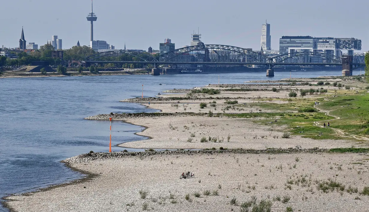 Penampakan tepian sungai mengering akibat kemarau panjang di sungai Rhine yang paling penting di Jerman, di Cologne pada 27 April 2020. April tahun ini adalah salah satu bulan terkering dan berimbas kepada petani dan industri. (AP/Martin Meissner)