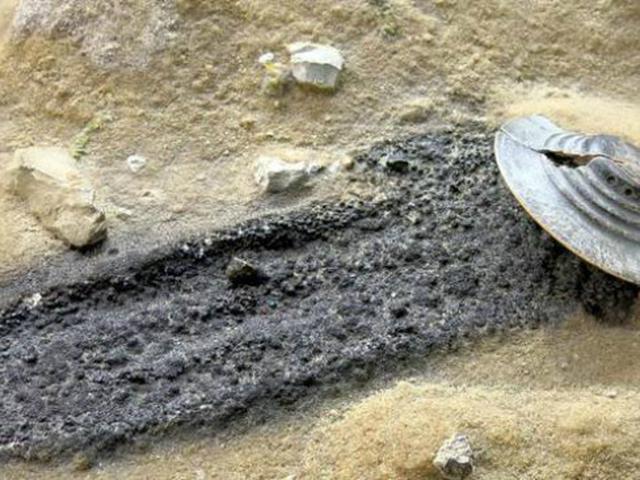 Benda Asing Di Laut Trenggalek Sempat Dikira Jatuh Dari Langit