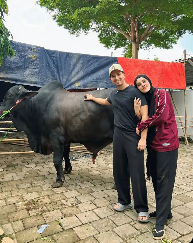 7 Artis kurban sapi di Idul Adha 2025, Ruben Onsu kurban sapi jumbo