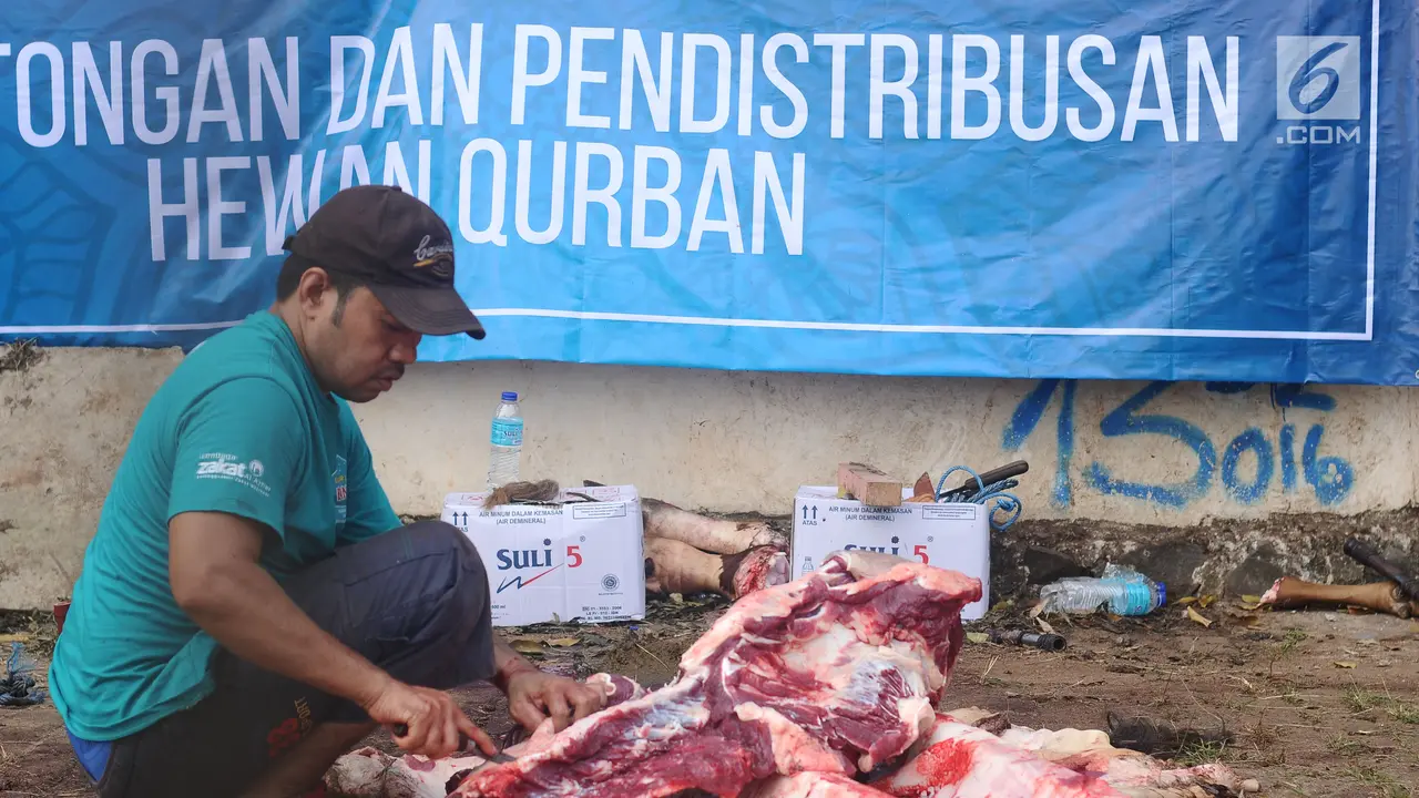 Masjid Al Azhar Potong dan Distribusikan Ratusan Hewan Kurban