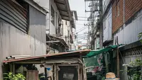 7 Cara Ternak Ayam Bangkok Bagi Pemula, Simak Panduan Lengkap untuk Hasil Optimal