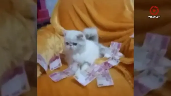 [Bintang] Bukannya Emosi, Kumpulan Video Parodi Pelakor Disiram Duit Ini Bikin Ketawa Seharian