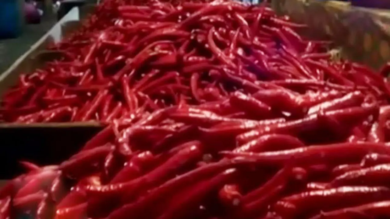 Kemarau Panjang, Harga Cabai Naik Jadi Rp 36 Ribu per Kg