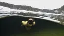 Johanna Nordblad menyelam di danau beku, Somero, Finlandia, Selasa (27/2). Johanna Nordblad memegang rekor dunia freediving di bawah es dengan baju renang sejauh 50m. (AFP PHOTO / Olivier Morin)