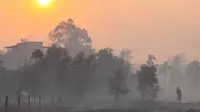 Kabut Asap Pekat, Penerbangan Sampit Lumpuh Total