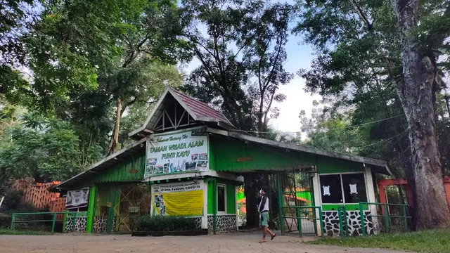 Punti Kayu Palembang, Taman Wisata Alam yang Meredup Saat Pandemi Covid-19
