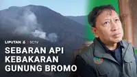 Kebakaran Jemplang Imbas Api Gunung Bromo Berangsur Padam, Petugas Tetap Siaga