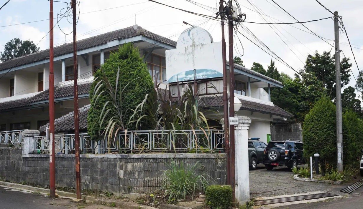 Keberadaan hewan tersebut sempat menimbulkan kepanikan. (Timur Matahari/AFP)