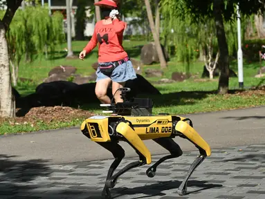 Seorang perempuan berolahraga melintasi robot berkaki empat yang mirip anjing, Spot selama uji coba dua minggu di Bishan-Ang Moh Kio Park, Singapura pada 8 Mei 2020. Robot itu menyiarkan pesan untuk mengingatkan warga untuk melakukan jaga jarak di tengah pandemi virus corona. (Roslan RAHMAN/AFP)