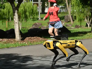 Seorang perempuan berolahraga melintasi robot berkaki empat yang mirip anjing, Spot selama uji coba dua minggu di Bishan-Ang Moh Kio Park, Singapura pada 8 Mei 2020. Robot itu menyiarkan pesan untuk mengingatkan warga untuk melakukan jaga jarak di tengah pandemi virus corona. (Roslan RAHMAN/AFP)