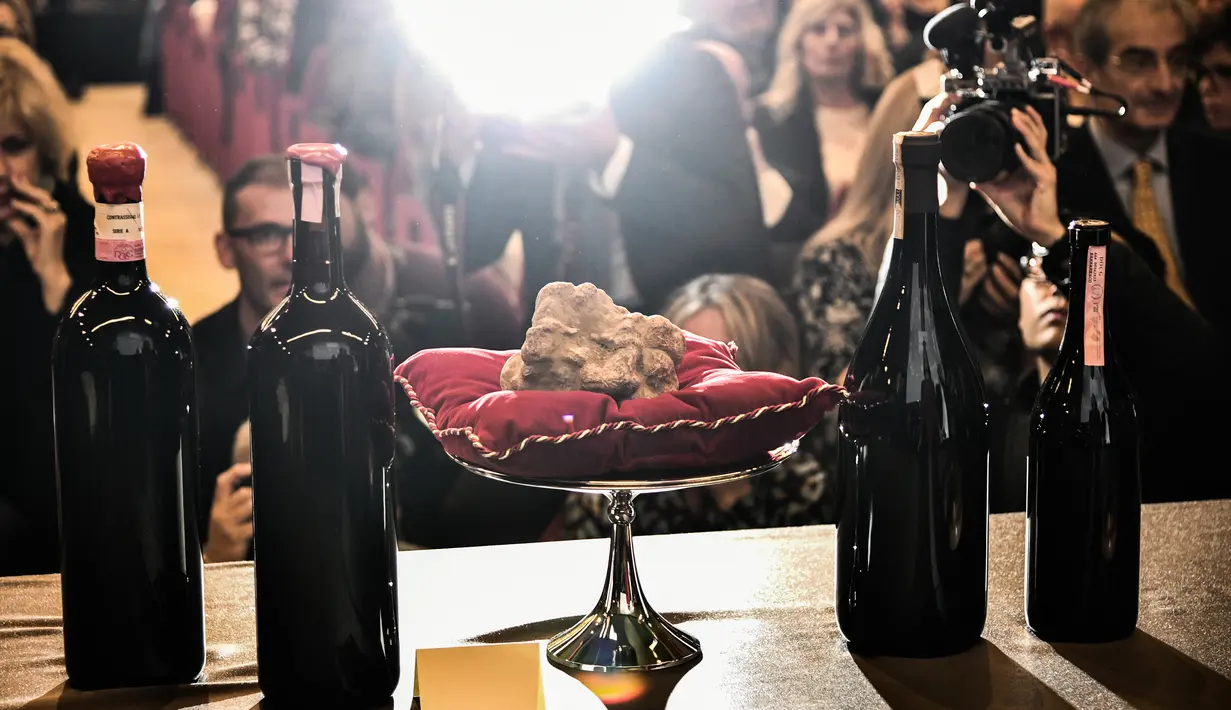 Jamur truffle putih langka seberat 850 gram ditampilkan selama lelang World White Truffle ke-19 di Alba, Italia, 11 November 2018. Jamur itu dibeli oleh warga Hong Kong yang dirahasiakan namanya seharga 85.000 euro (Rp 1,5 miliar). (Marco BERTORELLO/AFP)