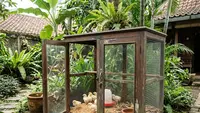 Cara Membuat Kandang Ayam dari Etalase Kaca Bekas, Murah, Unik, dan Cocok untuk Anak Ayam