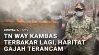 Karhutla Way Kambas Meluas, Api Ancam Jalur Perlintasan Gajah