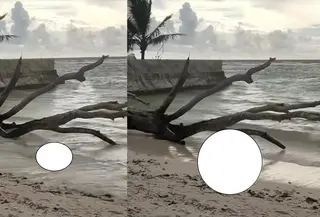 Penemuan jenazah di Pesisir Barat