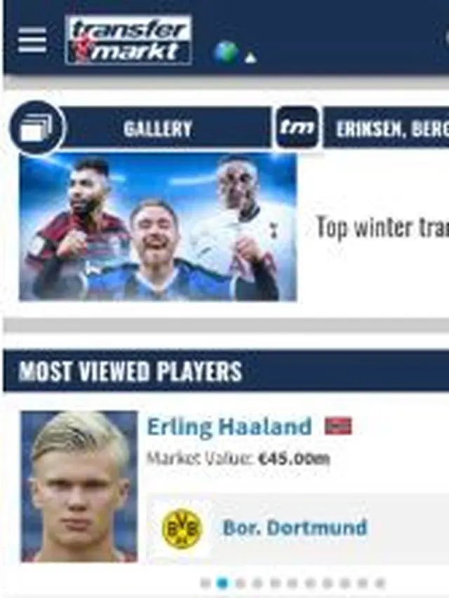 Erling Braut Haaland