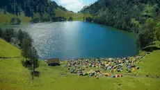 Semeru Kebakaran, 170 Pendaki Terjebak di Ranu Kumbolo