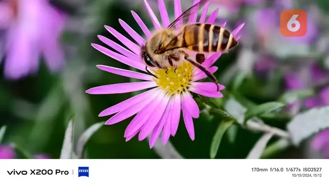 <p>Hasil foto Vivo X200 Pro. (Liputan6.com/ Yoga Nugraha)</p>