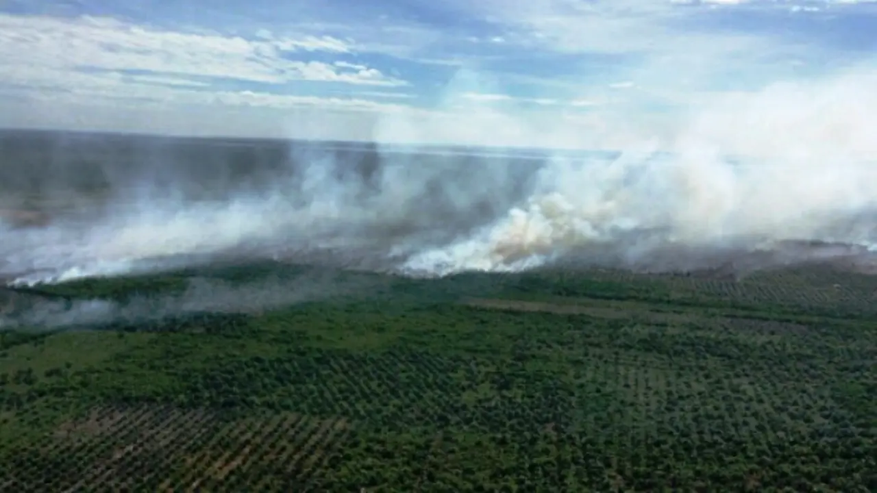 20160715-kebakaran hutan-riau-rekayasa cuaca