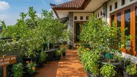11 Cara Buat Kebun Aneka Jeruk di Pot, Panen Buah Segar Melimpah di Lahan Terbatas
