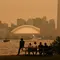 Langit Kota Toronto Berubah Kekuningan akibat Asap Kebakaran Hutan