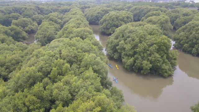 Indonesia telah berhasil menurunkan angka deforestasi sampai titik terendah pada tahun 2021-2022 sebesar 104 ribu ha. Sementara, deforestasi Indonesia tahun 2020-2021 adalah sebesar 113,5 ribu ha.