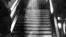 Foto ini diiambil tahun 1936 di Raynham Hall, Norfolk, Inggris. Potret “Wanita Coklat” ini sangat populer dan dianggap foto hantu terbaik yang pernah diambil. Konon penampakan itu merupakan hantu Lady Dorothy Townshend. (paranormal.about.com)