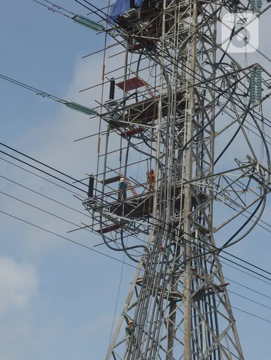 Pekerja menyelesaikan proyek strategis nasional SUTET 500 KW Muara Tawar-Bekasi di Rawa Bebek, Jakarta, Jumat (10/12/2021). PT PLN (Persero) Unit Induk Pembangunan Jawa Bagian Barat (PLN UIP JBB) sepanjang 2020 merampungkan 22 proyek jaringan. (merdeka.com/Imam Buhori)