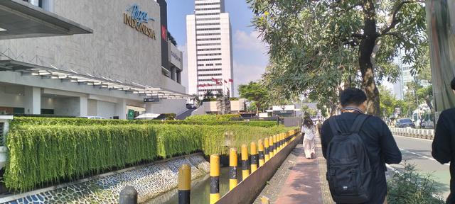 3. Dianggap Hama, Gerombolan Ikan Sapu-Sapu 'Kuasai' Kali Sekitar Bundaran HI