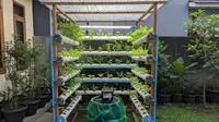 9 Ide Kebun Sayur Menguntungkan Pakai Sisa Uang THR, Bisa Dimulai dari Rumah