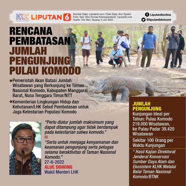 Harga Tiket Masuk Tahunan Taman Nasional Komodo Rp 3,75 Juta Mulai 1