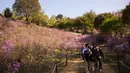 Pengunjung berjalan melewati semak bunga azalea di Taman Wonmi di Bucheon, sebuah kota di pinggiran Seoul (19/4/2022). Saliyah atau Azalea adalah jenis tanaman berbunga dari keluarga Ericaceae dan genus Rhododendron yang tumbuh di wilayah beriklim sedang.  (AFP/ANTHONY WALLACE)