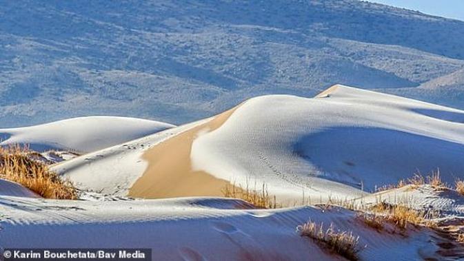 Dilanda suhu -3 derajat, Gurun Sahara di Afrika bersalju. (Sumber: Instagram/@kaaarimo)