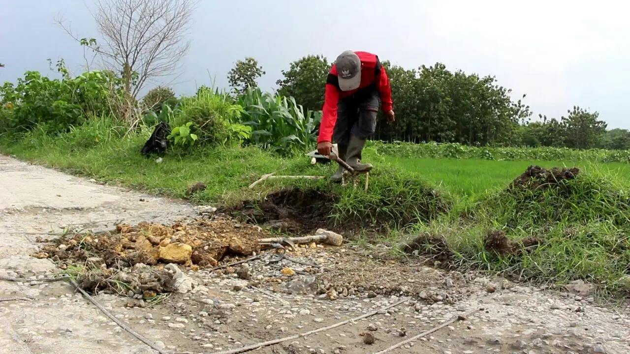 Relawan Jalan Berlubang