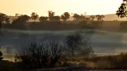 Matahari terbit di atas ladang pertanian yang terdampak kekeringan di Duri, New South Wales, 7 Agustus 2018. Seluruh wilayah negara bagian itu dinyatakan mengalami kekeringan dan 25 persennya berada dalam kondisi ”kekeringan hebat”. (SAEED KHAN/AFP)