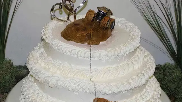 Kue Pernikahan Ini Bikin Geleng Kepala. (Sumber: boredpanda)
