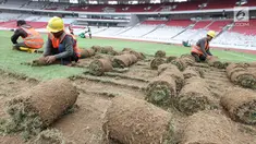 Pekerja menggulung rumput di Stadion Utama Gelora Bung Karno (SUGBK), Jakarta, Jumat (18/5). Panitia Pelaksana Asian Games 2018 (INASGOC) memindahkan rumput SUGBK ke area panahan hingga selesai upacara pembukaan Asian Games. (Liputan6.com/Johan Tallo)
