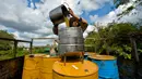 Peternak menuangkan madu ke dalam wadah di sebuah peternakan di Navajas, Matanzas, Kuba, 21 Maret 2019. Madu dari tempat ini menjadi dambaan dari pasar Eropa. (YAMIL LAGE/AFP)