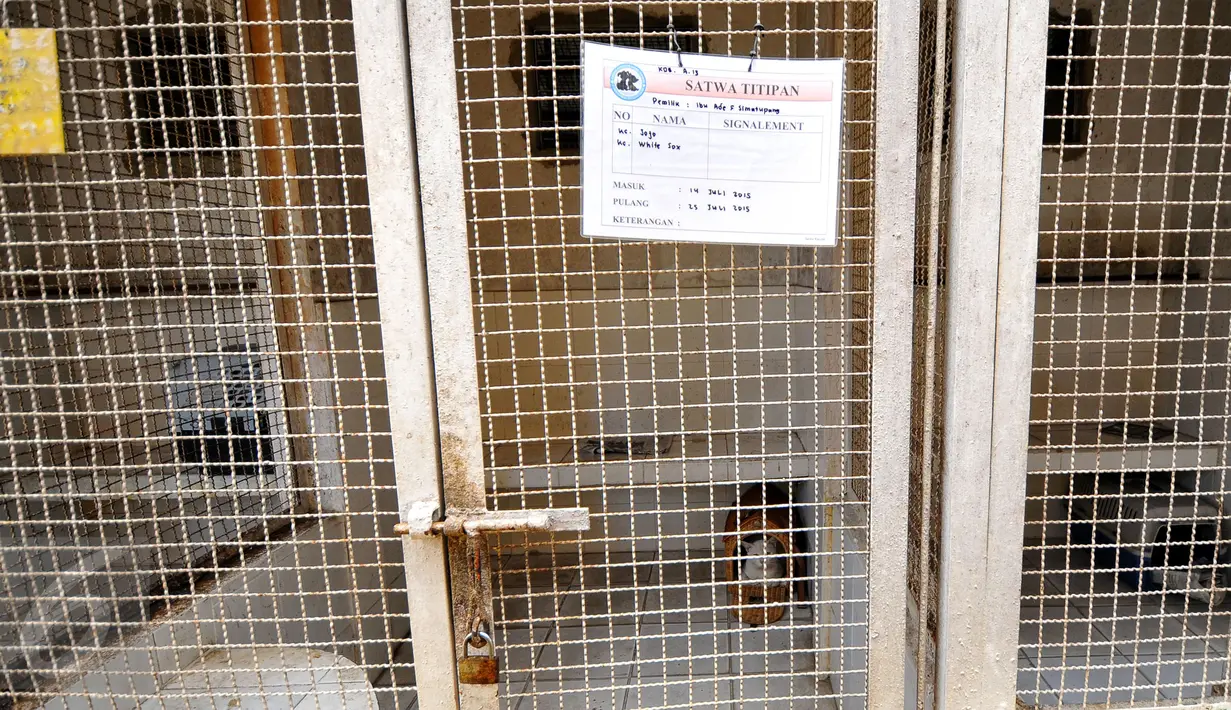 Suasana tempat penitipan satwa di Pondok Pengayom Satwa Jakarta (PPJS), Jakarta, Sabtu (18/7/2015). Tempat ini menjadi pilihan pemudik untuk menitipkan hewan kesayangannya. (Liputan6.com/Yoppy Renato)