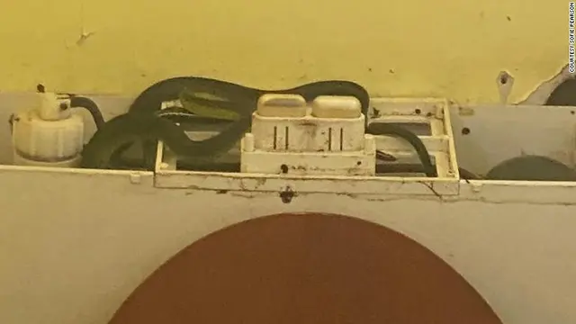 Ular di Toilet