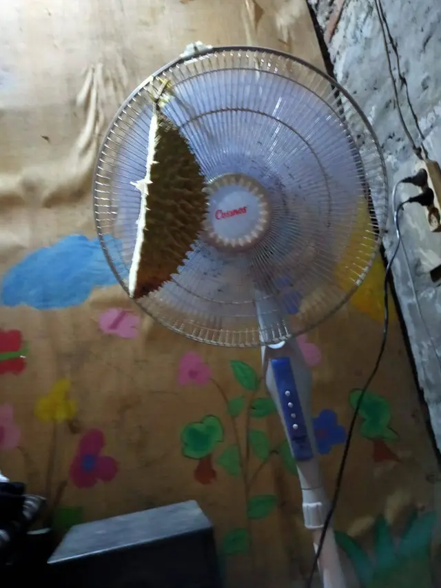 6 Gantungan Pengharum Ruangan  di Kipas Angin Ini Nyeleneh Banget, Kocak