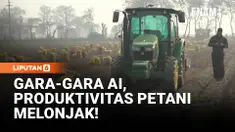 Teknologi kecerdasan buatan (AI) mulai mengubah wajah pertanian di India. Di ladang kentang New Delhi, traktor otomatis berbasis AI menanam, memupuk hingga memanen dengan presisi tinggi.